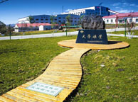 扬州天华矿业集团