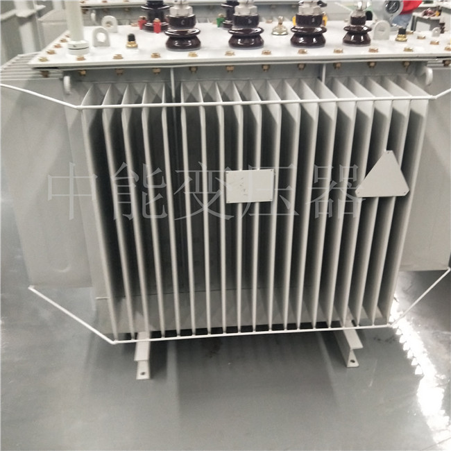 扬州S20-800KVA变压器