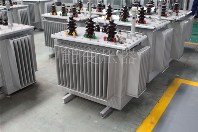 扬州S22-100KVA/10KV/0.4KV变压器